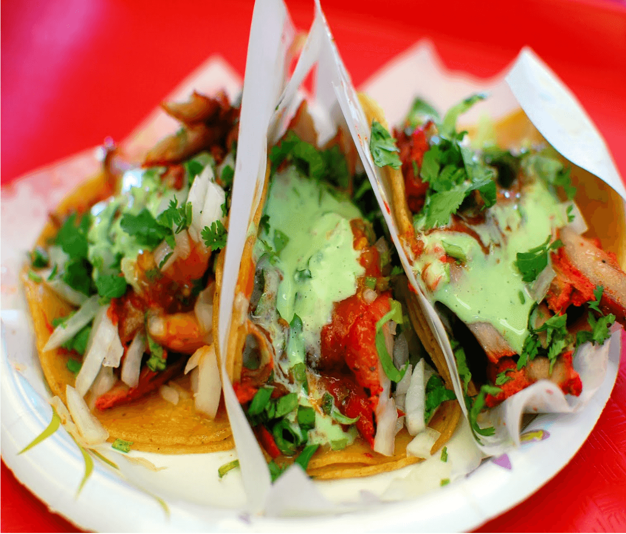 Adobada loaded fries topped with seasoned pork and fresh salsa at El Taco Chingon